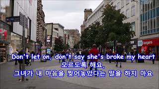 Mrs Brown Youve Got A Lovely Daughter  Hermans Hermits with Lyrics가사번역 [upl. by Rodd]