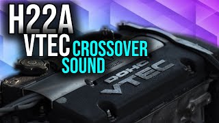 LOUD H22A VTEC Crossover Sound [upl. by Arahahs]