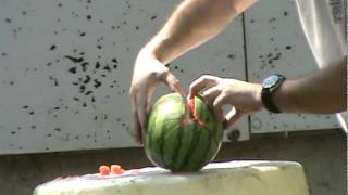 Watermelon Ballistics Demonstration [upl. by Pegeen535]