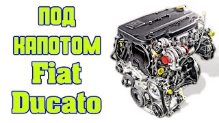 Fiat Ducato под капотом [upl. by Etterrag497]