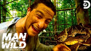 Bear Grylls Makes Shelter to Keep Out Snakes and Mosquitos  Man vs Wild [upl. by Reyna]