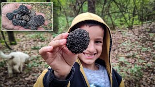 Tartufi Lov  Crni Tartuf  Truffle Hunting [upl. by Matilda968]