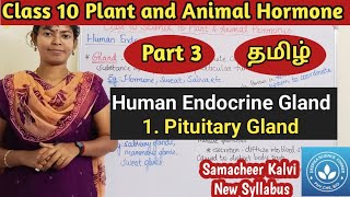 Pituitary Gland Class 10 Science Unit 16 Plant and Animal Hormone [upl. by Gosney]