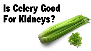 Is celery good for kidneys [upl. by Aaberg294]