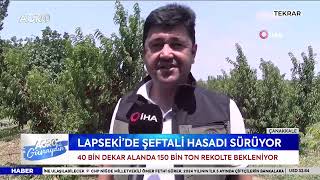 Lapseki Şeftalisine Rusyadan Büyük İlgi 40 Bin Dekarda 150 Ton Rekolte  AGRO TV HABER [upl. by Melar]