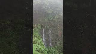 Nature sound  Kodachadri Nature  Forest  nature rain travel forest art tourism [upl. by Enale]