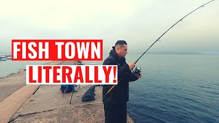 Awesome Sea Fishing from the Shore at Brixham in Torbay South Devon [upl. by Yderf]