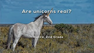 Are unicorns real [upl. by Ardnohs]