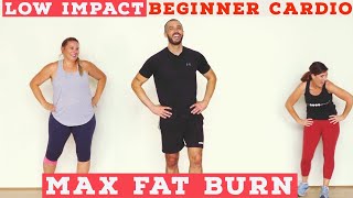 Fat burning Beginner LOW IMPACT home cardio workout  all standing [upl. by Etnoek116]