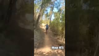 Poachers Rite at mogomtb mtb mountainbiking [upl. by Redienhcs]