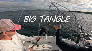 Trolling for Salmon amp Trout on Lake Vättern  Epic Catch Adventure [upl. by Orvah]