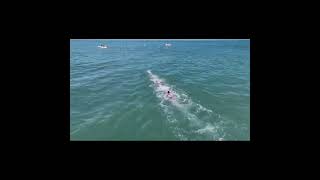 Oceanman relay Final  Lifesaving World Championships 2022 Riccione [upl. by Ephrayim]