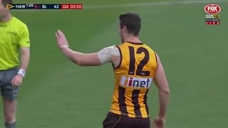 AFL 2015 Round 22  Hawthorn highlights vs Brisbane [upl. by Arthur576]