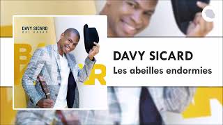 Davy Sicard  Les abeilles endormies [upl. by Eeryt257]