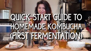 Quick Start Guide to Homemade Kombucha First Fermentation [upl. by Enyrehtac582]