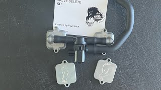 Tech talk AIS  PAIR valve  the most misunderstood system on motorcycles today [upl. by Weidner]