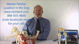 What is Medial Patellar Luxation in the Dog [upl. by Levine650]