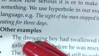 HYPERBOLE IN OUR EVERYDAY SPEECH ENGLISH [upl. by Hayn]