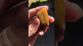 Beautiful yellow agate creek agate polished thefinders agate rockhounders semipreciousstone [upl. by Nnoved]