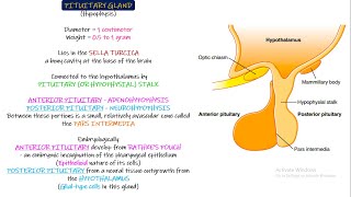 Pituitary Gland Physiological Anatomy Chapter 76 part 1 Guyton and Hall Physiology [upl. by Suiravad]