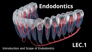 Endodontics Introduction and Scope of Endodontics  حشوات الجذور المحاضرة الاولى [upl. by Lehcsreh]