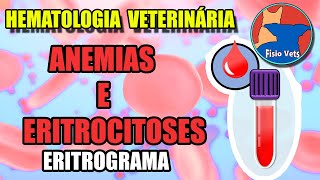 Interpretação do hemograma  Eritrograma Parte 2 anemias e eritrocitoses  Medicina veterinária [upl. by Ishmael]