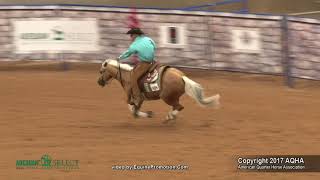 2017 AQHA Select Reining World Champion [upl. by Padraic]