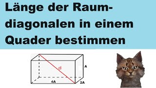 Länge der Raumdiagonalen in einem Quader bestimmen mit Buchstaben [upl. by Hake]