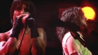 Red Hot Chili Peppers  Universally Speaking  Live at Olympia Paris [upl. by Neva380]