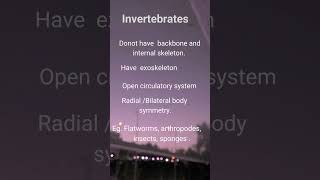 invertebrates  difference between vertebrates and invertebrates [upl. by Hebert]