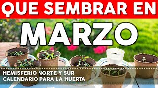 Calendario de Siembra 2022 Que sembrar en Marzo en el Huerto de Primavera y de Otoño [upl. by Patrich]