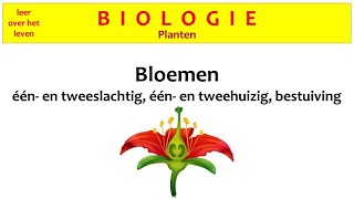 Biologie  Planten  De bestuiving van bloemen [upl. by Truman131]