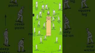 Cricket All field position  Fielders names in cricket  Different field position names in cricket [upl. by Ame723]