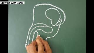 male reproductive system  how to draw male reproductive system  male reproductive organ [upl. by Bohrer]