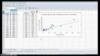 Correlation Graph Tutorial [upl. by Artimas]