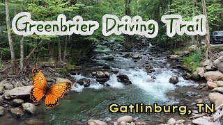 The Greenbrier Driving Trail  Smoky Mountains  Gatlinburg TN [upl. by Paine]