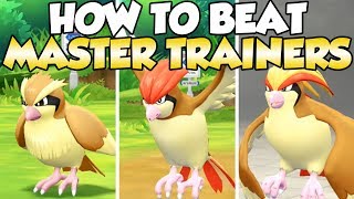 How To Beat Pidgey Pidgeotto amp Pidgeot Master Trainers Guide [upl. by Neellek968]