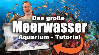 Das Meerwasseraquarium TUTORIAL  Keine Ahnung Kein Problem LOWBUDGET  Nachhaltig [upl. by Sieber]