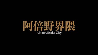 阿倍野界隈 AbenoOsaka City [upl. by Velvet90]