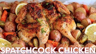 Roasted Spatchcock CHICKEN Recipe  ONE PAN Chicken Dinner [upl. by Eehc]