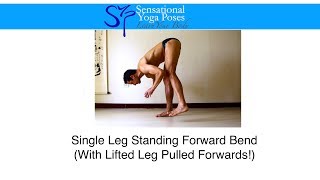 Single Leg Standing Forward Bend [upl. by Evalyn]