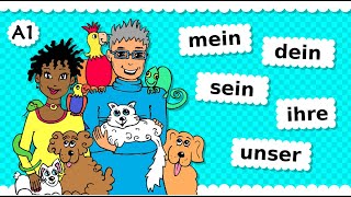 🐶 Deutsch A1 🐰 Possessivpronomen 🐦 mein  dein  sein  ihr  unser  euer etc Thema Haustiere 🐢 [upl. by Lunetta251]