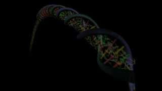 Mitochondrial DNA  four assumptions and flaws of Darwinists [upl. by Barram]