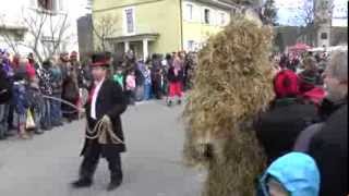 Narrentreffen in Hausach 2014 [upl. by Ssyla184]