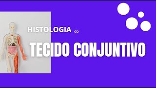 Tecido Conjuntivo  Histologia [upl. by Ardnuat]