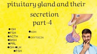 Endocrine system anatomy and physiologypart4pituitary gland and their secretions video nursing [upl. by Reseta]