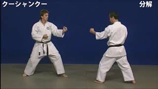 Wado Ryu Kata [upl. by Warfield]