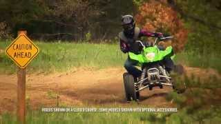 ARCTIC CAT ATV DVX300 2014 [upl. by Kendrah285]