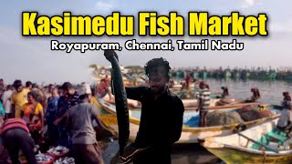 Kasimedu Fish Market  Royapuram  Chennai  Tamil Nadu  Mr Ranga [upl. by Yleik]