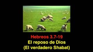 Hebreos 3 7 19 El reposo de Dios [upl. by Legin254]